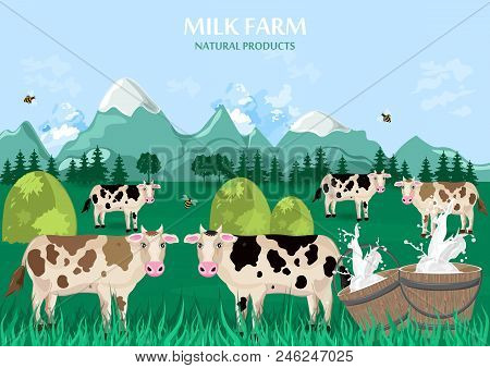 Milk Farm Concept. Cows Green Field Background. Vector Illustration