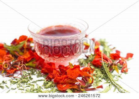 Close Up Of Orange Or Red Colored Tea Of Gular Or Flame Tree's Flowers Isolated On White.