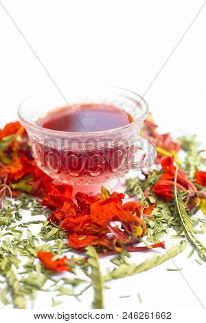 Close Up Of Orange Or Red Colored Tea Of Gular Or Flame Tree's Flowers Isolated On White.