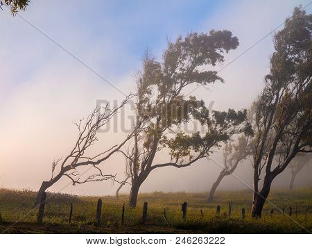 Morning Fog Above The Field In Countryside Area