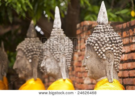 Rækken af Buddha-statuerne i Ayutthaya