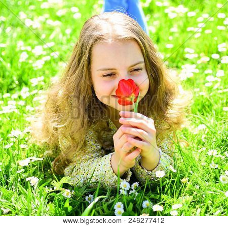 Girl Lying On Grass, Grassplot On Background. Girl On Smiling Face Holds Red Tulip Flower, Enjoy Aro