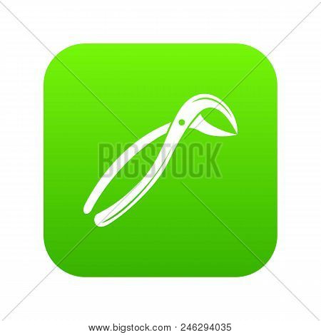 Tooth Pliers Medicine Icon. Simple Illustration Of Tooth Pliers Medicine Vector Icon For Web