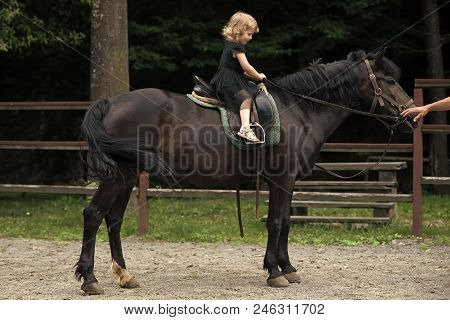 Equine Therapy, Recreation Concept. Girl Ride On Horse On Summer Day. Child Sit In Rider Saddle On A