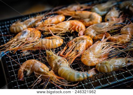 Appetizer, Background, Barbecue, Bbq, Closeup, Cooked, Cooking, Cuisine, Delicious, Dinner, Food, Fr