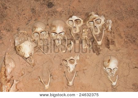 Mono de cráneos en los muros, Mali (África).