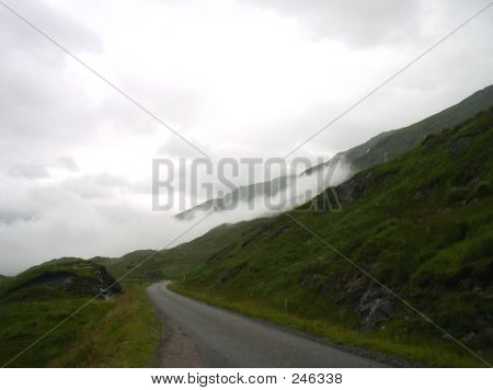 Scottishfog2