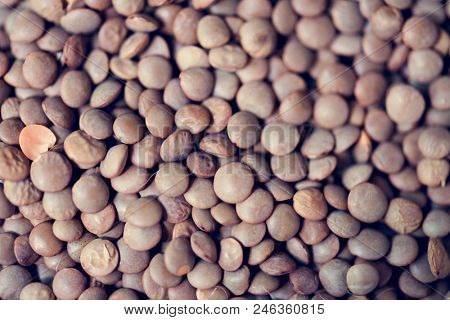 Laird lentils textures