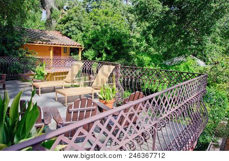 Green Summer Backyard Garden With Grass And Passway And Fance