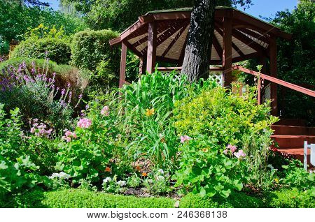 Green Summer Backyard Garden With Grass And Passway And Fance