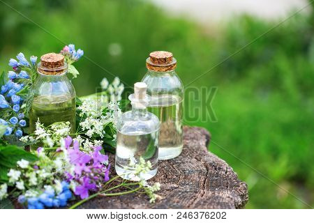 Essential Aroma Oil  In Bottles On Wooden Background Outdoor. Selective Focus. Natural Ogranic Produ