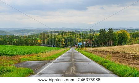 Rural Road In Hokkaido, Japan