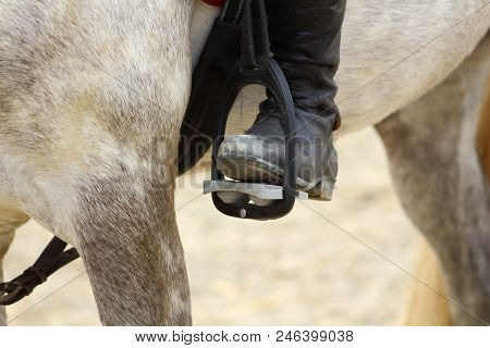 A Black Boot Of Rider In The Stirrup Tighten On The Horse, The Foot In The Stirrup
