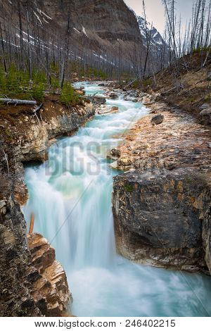 Marble Canyon In Kootenay National Park, British Columbia, Canada