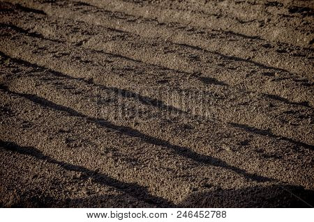 Agricultural Background Of Newly Plowed Field Furrows Ready For New Crops. Close Focus.