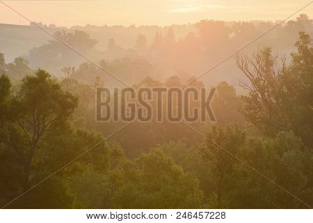 Summer Landscape. Green Trees And Solstice Rising Sun In Mist