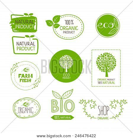Organic Eco Bio Product Natural Farm Food
