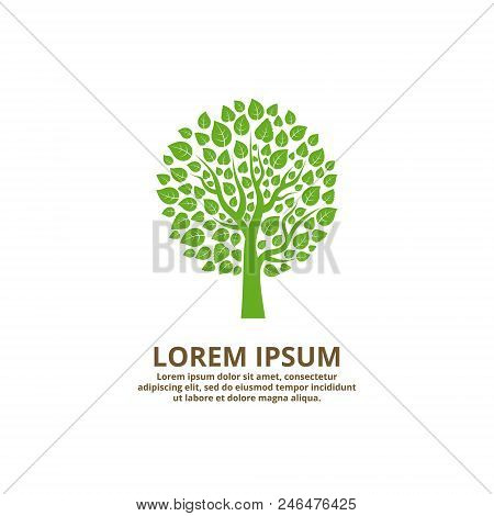 Green Eco Organic Tree Logo Company For Business