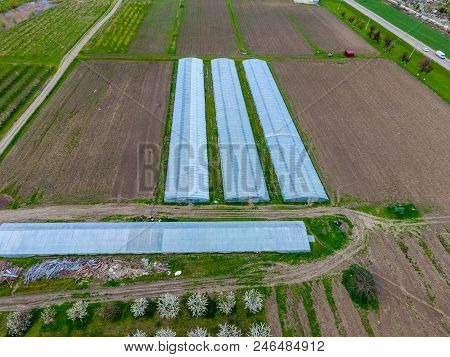 A Greenhouse For Cucumbers And A Tomato. Greenhouses In The Field.