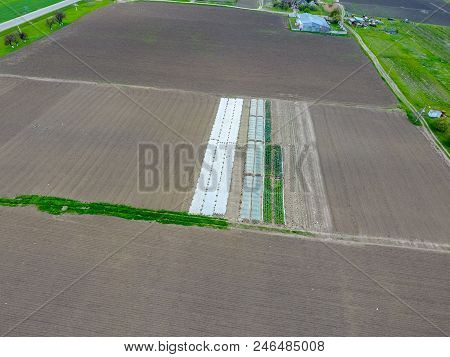 A Greenhouse For Cucumbers And A Tomato. Greenhouses In The Field.