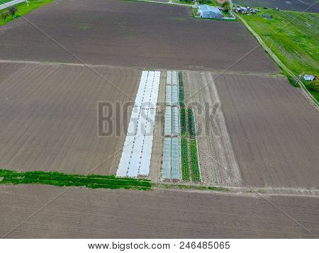 A Greenhouse For Cucumbers And A Tomato. Greenhouses In The Field.