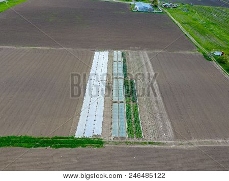 A Greenhouse For Cucumbers And A Tomato. Greenhouses In The Field.