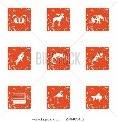 Animal Humanity Icons Set. Grunge Set Of 9 Animal Humanity Vector Icons For Web Isolated On White Ba