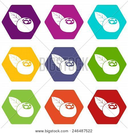 Cranberry Icons 9 Set Coloful Isolated On White For Web