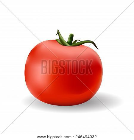Red Ripe Tomato On White Background. Vector Illustration