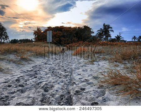 View Of The Beach From Behind The Dunes At Sunset Showing A Lifeguard Tower.
