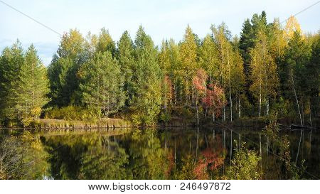 Autumn Landscape, Forest And Lake. Siberia. Live Photo.