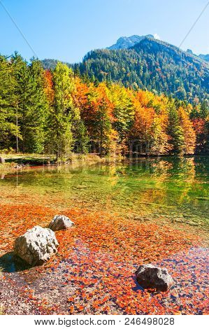 Colorful Autumn Trees On The Shore Of Hinterer Langbathsee Lake In Alps Mountains, Austria.