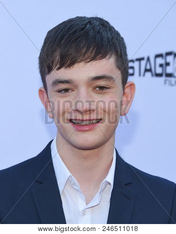 LOS ANGELES - JUN 19:  Lewis MacDougall arrives for the 'Boundaries' Los Angeles Premiere on June 19, 2018 in Hollywood, CA