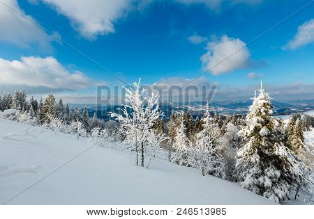 Winter Calm Mountain Landscape With Beautiful Frosting Trees And Snowdrifts On Slope (carpathian Mou