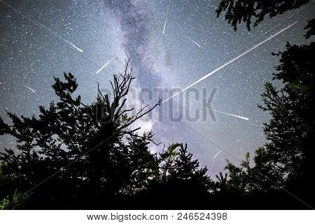 A View Of A Meteor Shower And The Milky Way With Trees Forest Silhouette In The Foreground. Night Sk