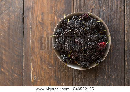 Fresh Ripe Mulberry Closeup. Organic Black Mulberries Background. Agriculture, Gardening, Harvest Co