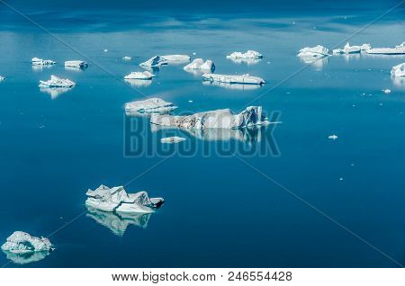 Icebergs From A Glacier In A Sunny Day Near Narsarsuaq, Greenland
