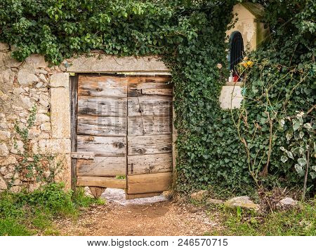 Old Wooden Door, Stone Wall With Ivy And Religious Statue In Cres, Croatia