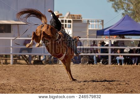 A Cowboy Riding A Bucking Horse In The Saddle Bronc Event At A Country Rodeo