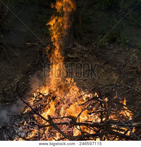 Sparks Of Fire On A Black Background Burning Bonfires On A Dark Background