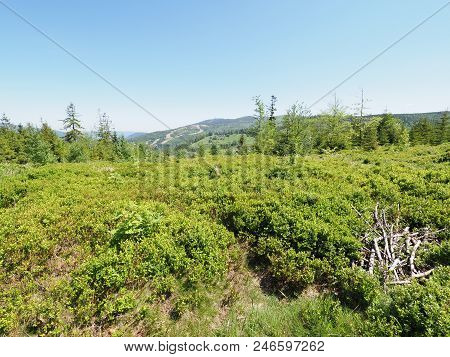 Salmopol Pass Near Kotarz Mount In Famous Silesian Beskids Mountains Range Landscapes Above European