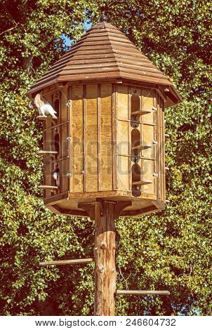 Wooden Dovecote With Pigeons In Forest. Natural Scene. Yellow Photo Filter.