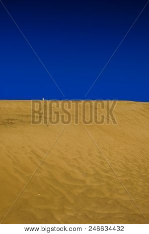 Lone Tourist Give Sense Of Scale On Beautiful Expanse Of Golden Sands Of Dune 7, The Highest In Nami