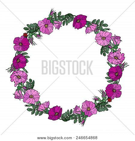 Round Frame With Wild Roses. Summer Flowers Greeting Card Or Wedding Background. Hand Drawn Illustra