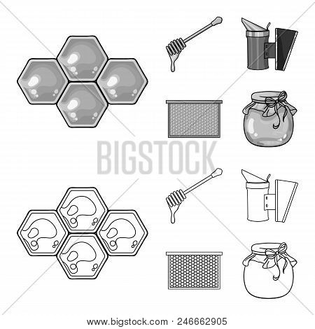 A Frame With Honeycombs, A Ladle Of Honey, A Fumigator From Bees, A Jar Of Honey.apiary Set Collecti