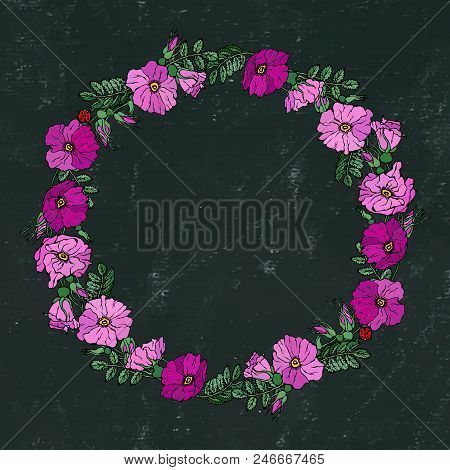 Round Frame With Wild Roses. Summer Flowers Greeting Card Or Wedding Background. Hand Drawn Illustra