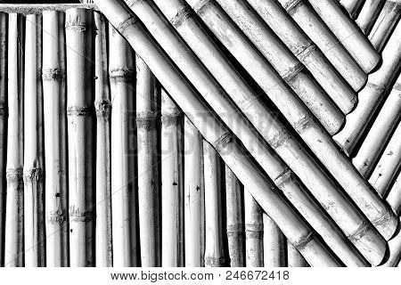 Abstract Texture Background Of The Bamboo Wall