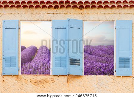 Provence Window With Blue Shutters And View Of Lavender Field, France