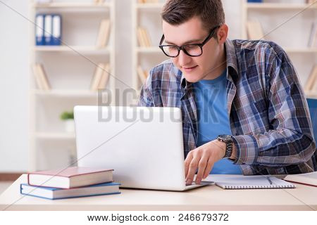 Young student studying over internet in telelearning concept
