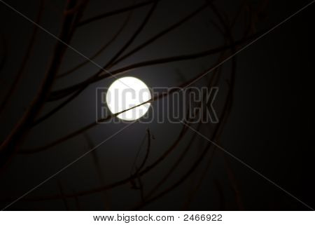 Full Moon